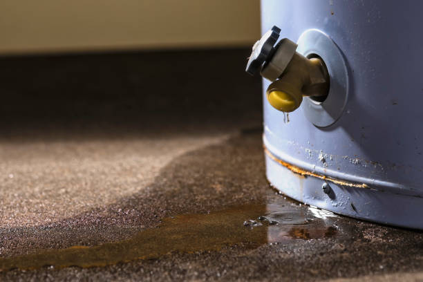 Best Carpet water damage restoration  in Lake Holiday, IN