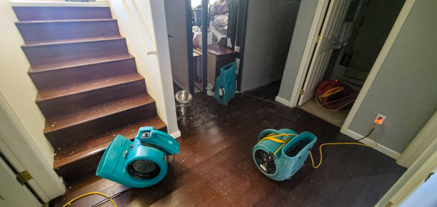 Best 24/7 water damage repair  in Lake Holiday, IN