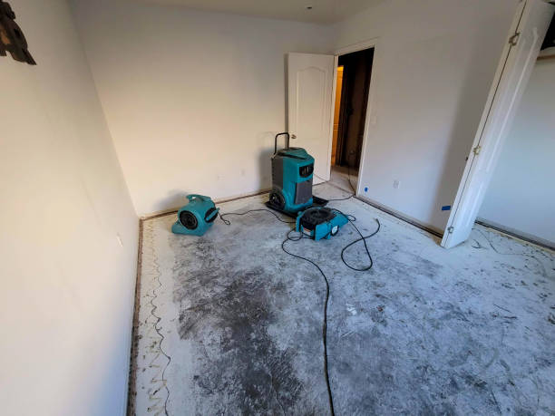 Best Flood damage cleanup  in Lake Holiday, IN