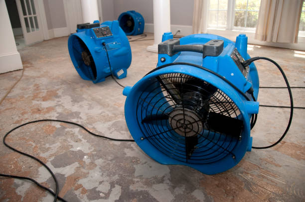 Best Flooded house restoration  in Lake Holiday, IN