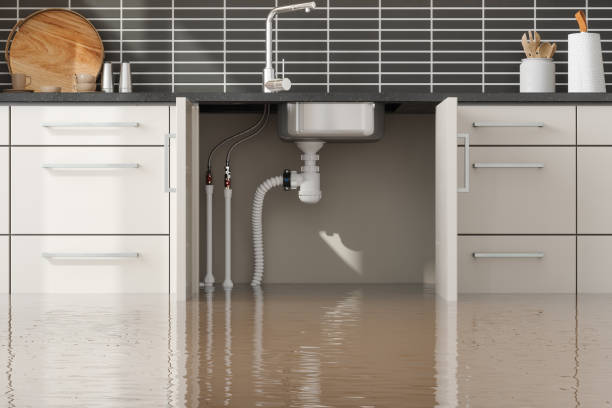 Trusted Lake Holiday, IN Water damage restoration Experts
